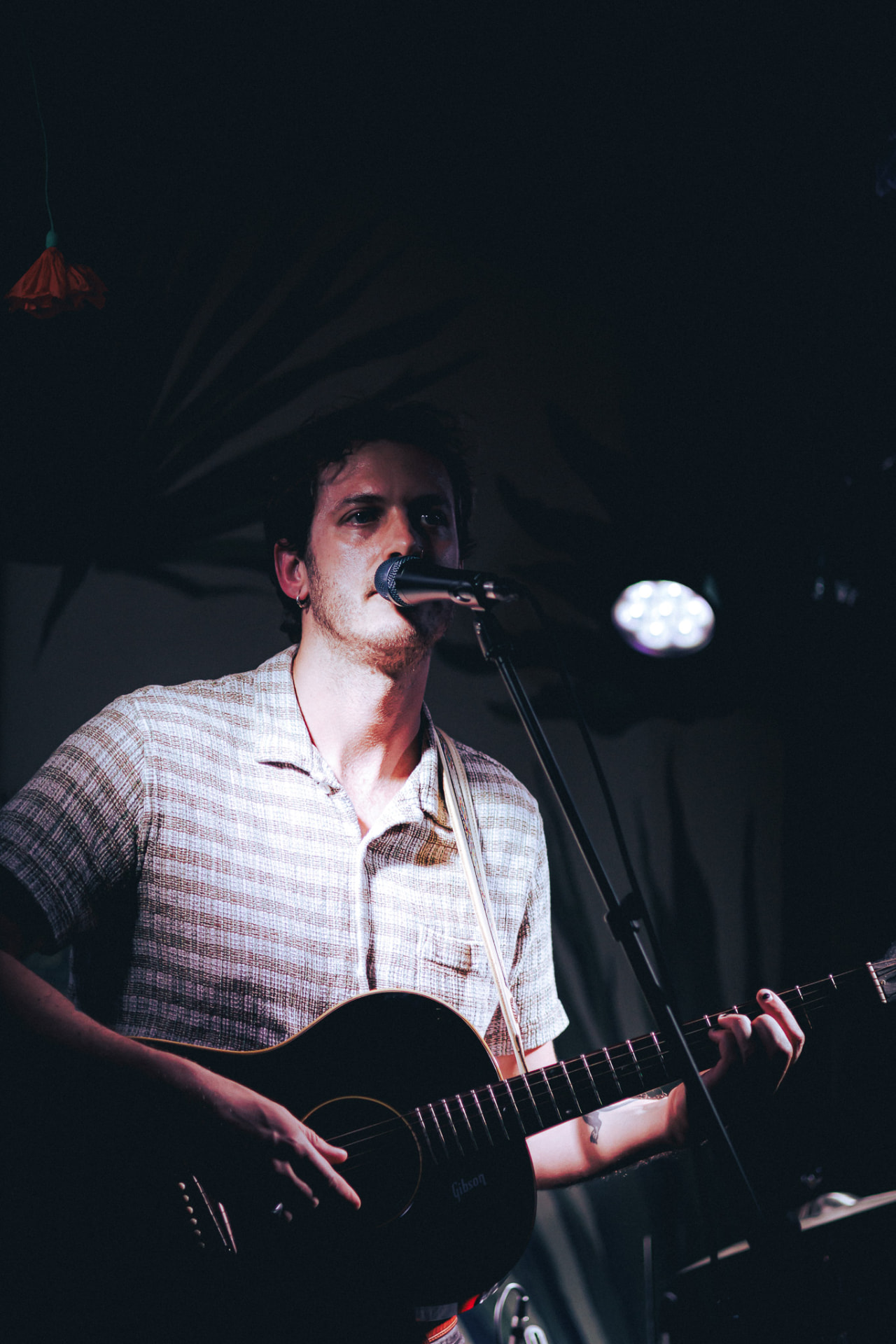 Live concert photograph 10 by Adriana Hernandez